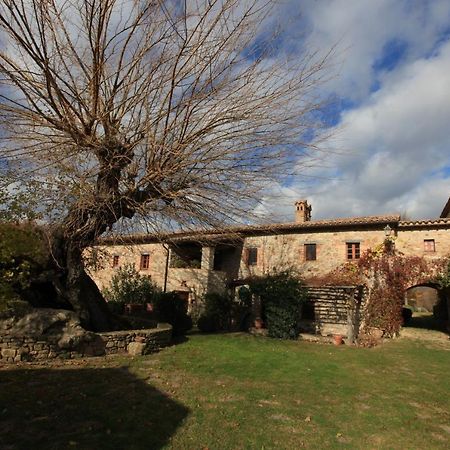 Antico Gelso Villa Todi Exterior photo